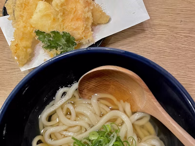 Udon Noodles